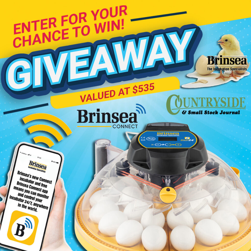 Enter for your chance to win!